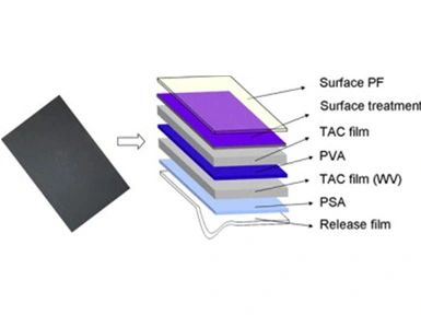 Analisi della struttura e delle prestazioni del polarizzatore LCD